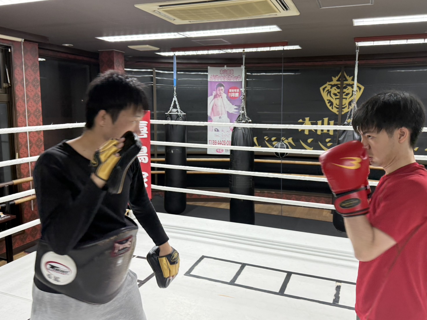 少しづつ暖かく