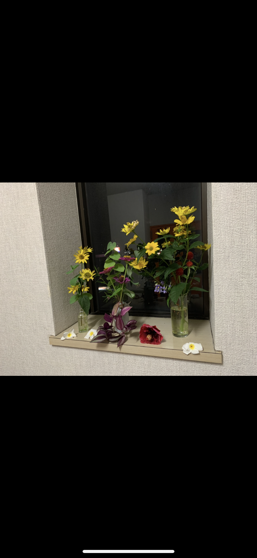 ジムのお花。