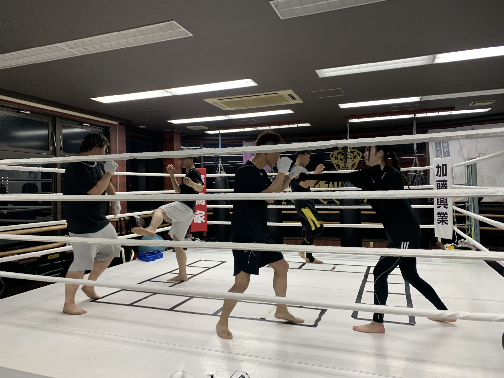 ゴールデンウィーク明けの活動再開。