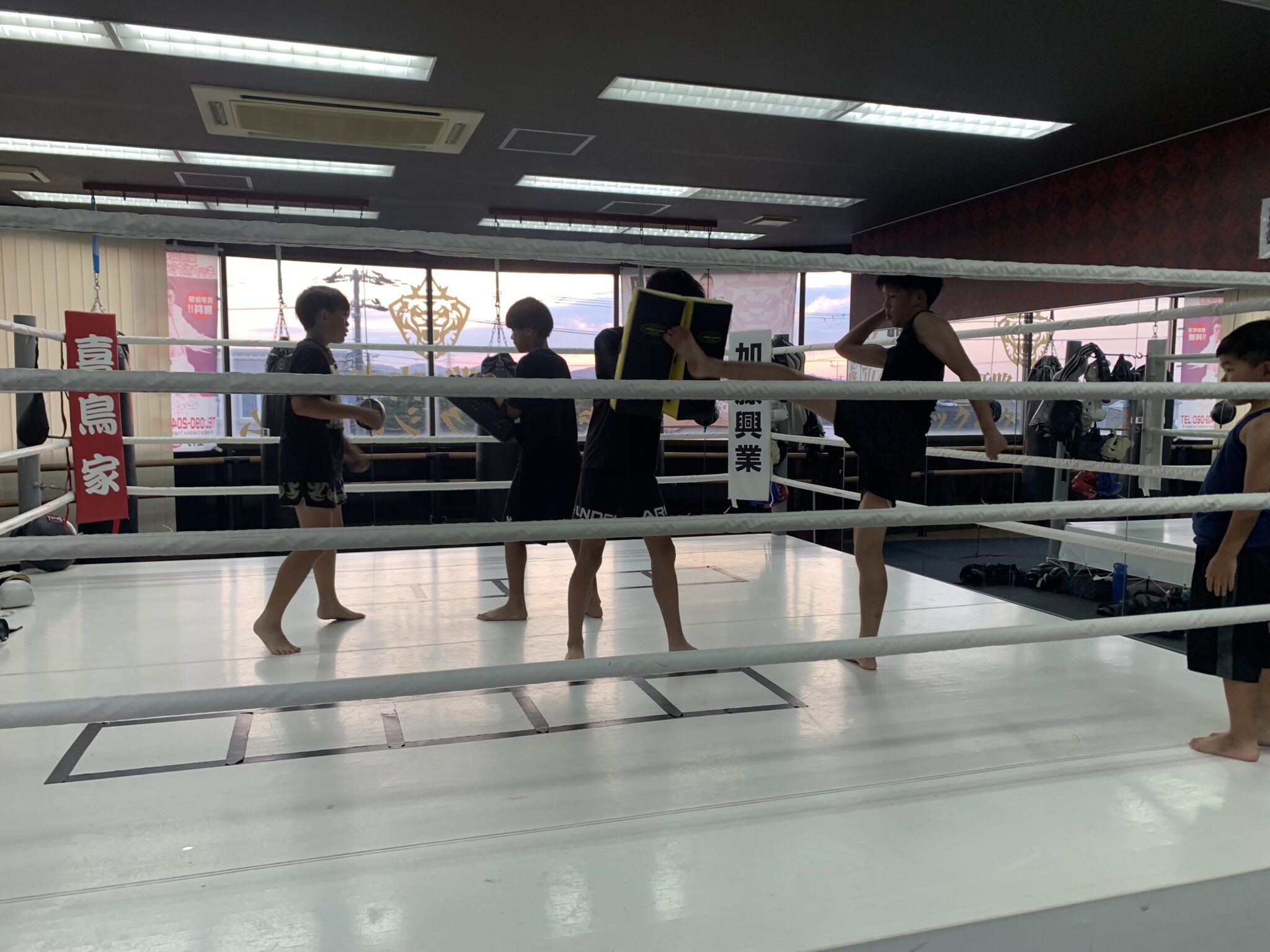 ８月活動開始。